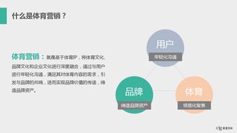 数据行业 互联网数据中心的变革与未来——以199it为例